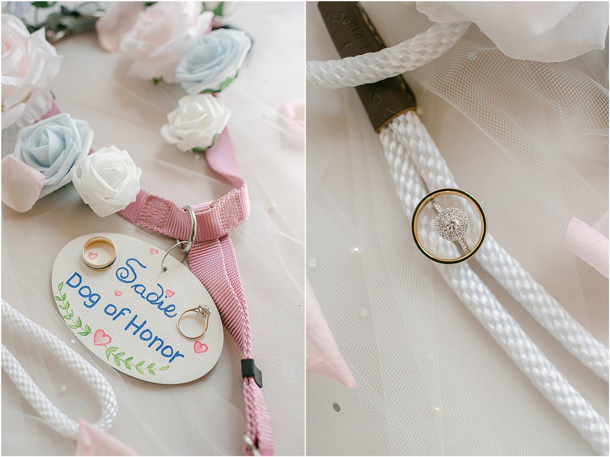 Custom dog collar at Spruce Point Inn