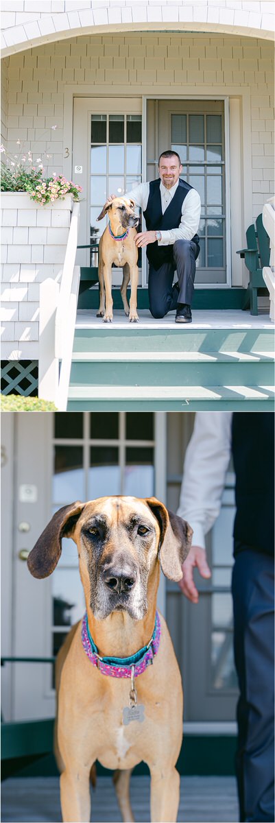 Dog gets ready for wedding at Spruce Point Inn