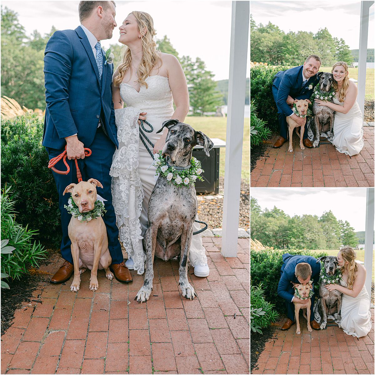 Bride and groom smile with their pets for Rachel Campbell Photography