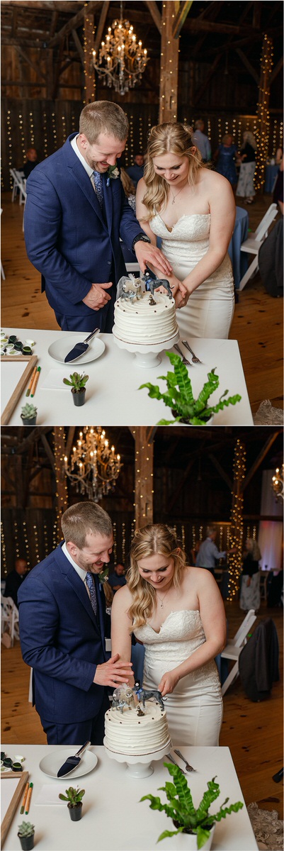 Bride and groom cut the cake together for Rachel Campbell Photography