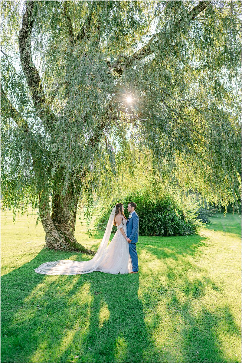 Couple stand under a giant willow tree for Rachel Campbell Photography